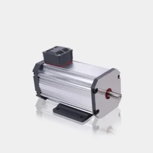 110V 1000W Low Speed High Torque BLDC Motor
