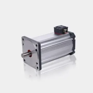 48V 6HP 1500RPM 2 Pole BLDC Motor